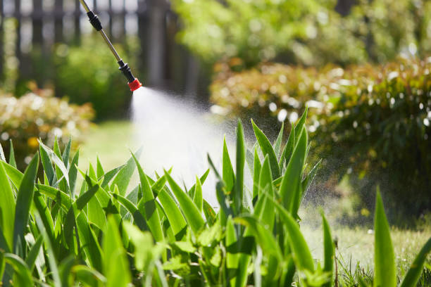 Tamper-Resistant Bait Stations for Rodents in Tuskegee