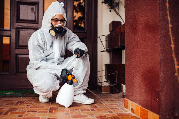 Attic and Crawl Space Rodent Treatment in Tuskegee