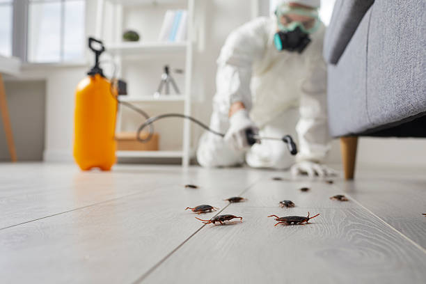 Commercial Rodent Management in Tuskegee